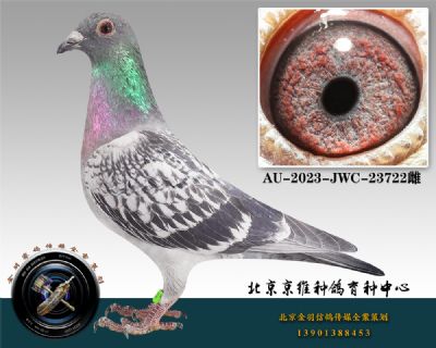 87-AU-2023-JWC-23722