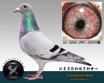 90-AU-2023-JWC-23510