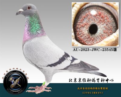 91-AU-2023-JWC-23545