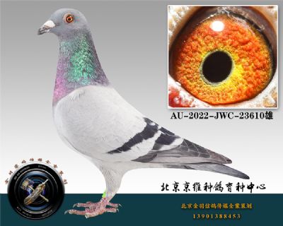 93-AU-2022-JWC-23610