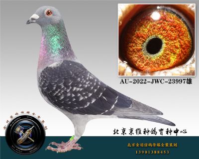 94-AU-2022-JWC-23997