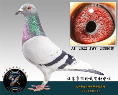 96-AU-2022-JWC-23550