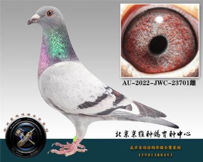 97-AU-2022-JWC-23701