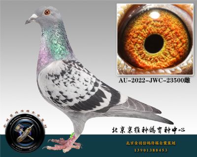 99-AU-2022-JWC-23500