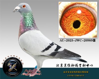 282-AU-2023-JWC-20989