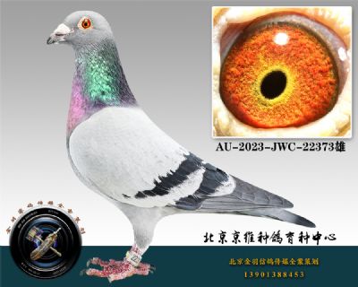 283-AU-2023-JWC-22373