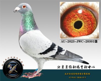 284-AU-2023-JWC-20301