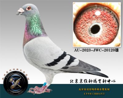 292-AU-2023-JWC-20120