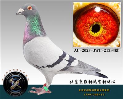 74-AU-2023-JWC-21393