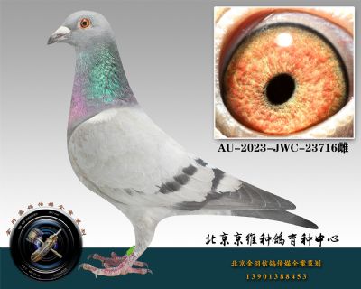 126-AU-2023-JWC-23716