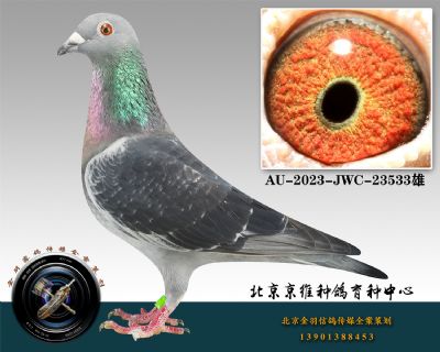 127-AU-2023-JWC-23533