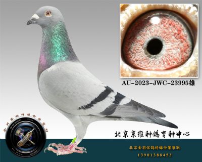 128-AU-2023-JWC-23995