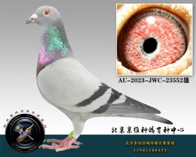 129-AU-2023-JWC-23552