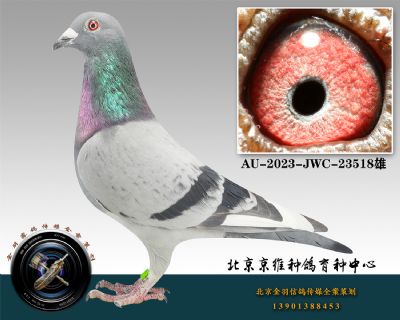 130-AU-2023-JWC-23518