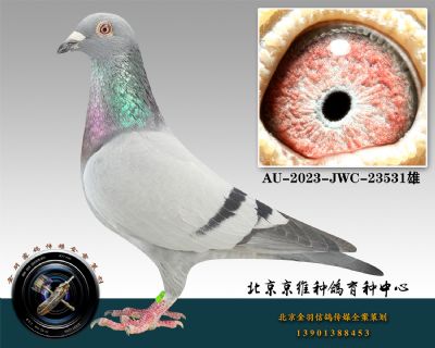 132-AU-2023-JWC-23531