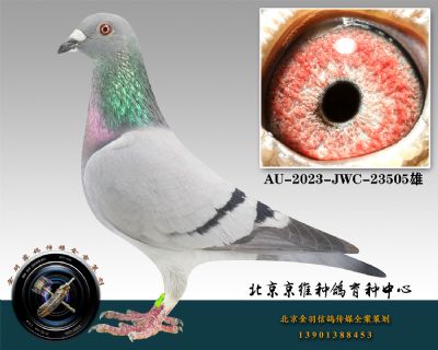 133-AU-2023-JWC-23505