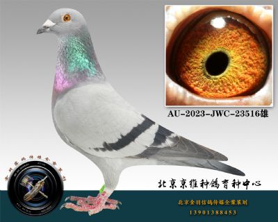 136-AU-2023-JWC-23516