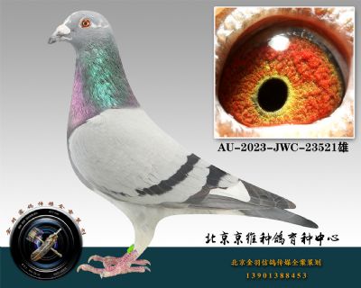 137-AU-2023-JWC-23521