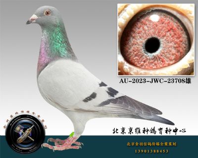 138-AU-2023-JWC-23708