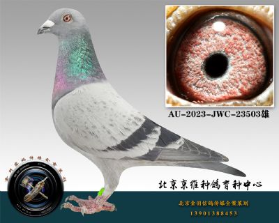 140-AU-2023-JWC-23503