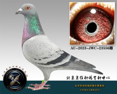 142-AU-2023-JWC-23556