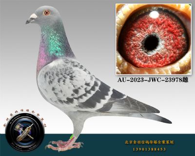 143-AU-2023-JWC-23978