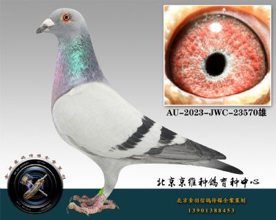 145-AU-2023-JWC-23570