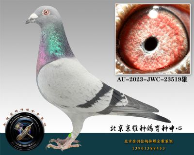 146-AU-2023-JWC-23519