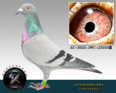 147-AU-2023-JWC-23553