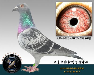 149-AU-2023-JWC-23986