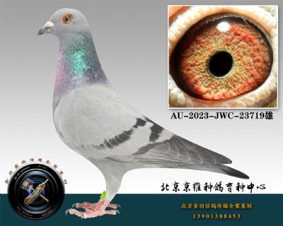 150-AU-2023-JWC-23719