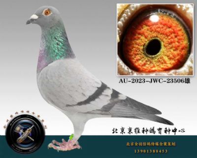 148-AU-2023-JWC-23506