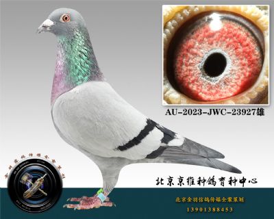 212-AU-2023-JWC-23927