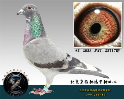 228-AU-2023-JWC-23717