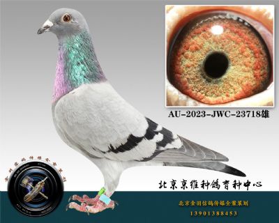 230-AU-2023-JWC-23718