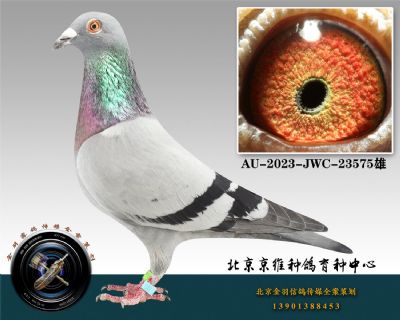 235-AU-2023-JWC-23575