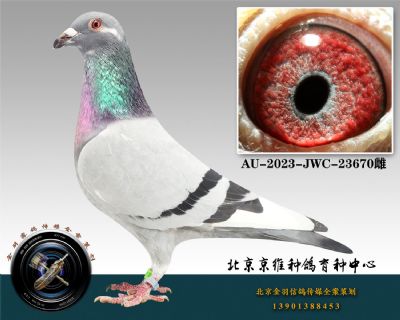 237-AU-2023-JWC-23670