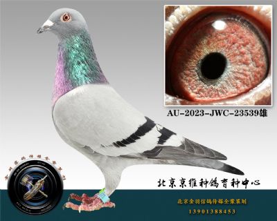 244-AU-2023-JWC-23539