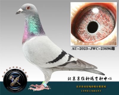 248-AU-2023-JWC-23696