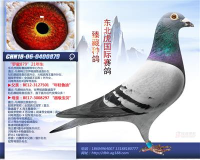 易鸽传媒 - 中信网铭鸽展厅