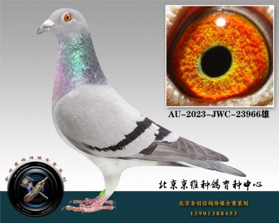 101-AU-2023-JWC-23966