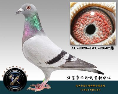 102-AU-2023-JWC-23502