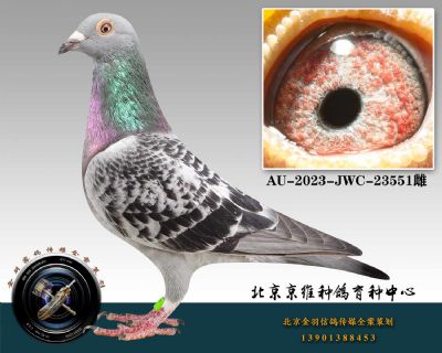 105-AU-2023-JWC-23551