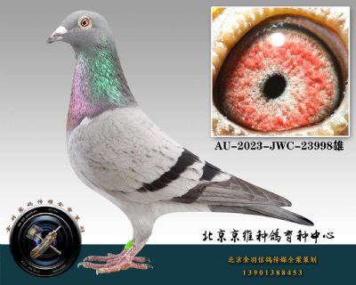 106-AU-2023-JWC-23998