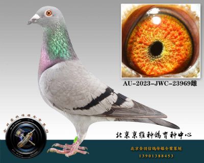 108-AU-2023-JWC-23969