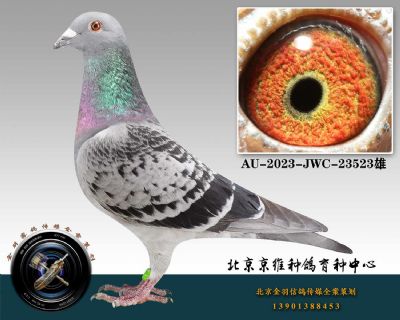 110-AU-2023-JWC-23523