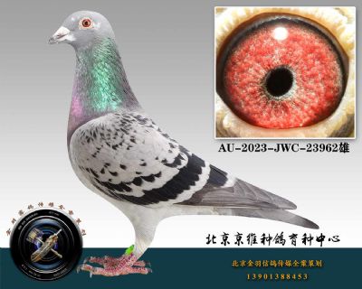 112-AU-2023-JWC-23962