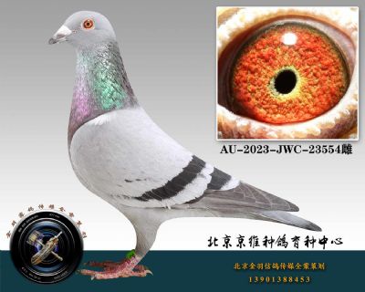 116-AU-2023-JWC-23554