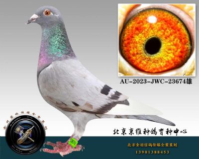 118-AU-2023-JWC-23674