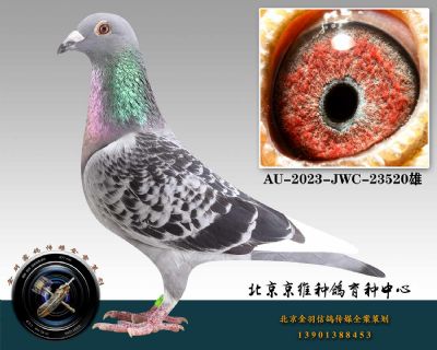 119-AU-2023-JWC-23520